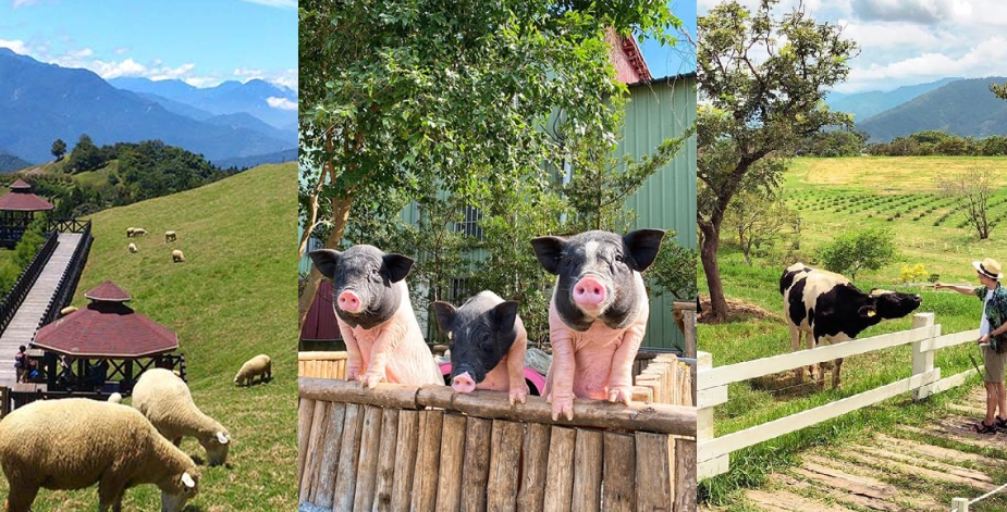 親子農場推薦 親子農場推薦