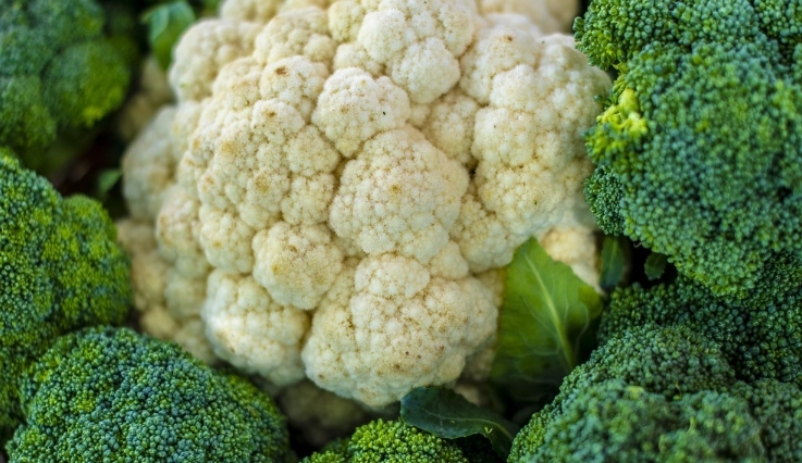 白花椰菜燙煮時間 白花椰菜燙煮時間