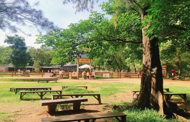 桃園農場推薦 桃園農場推薦