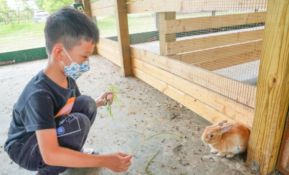 正實農場門票價格