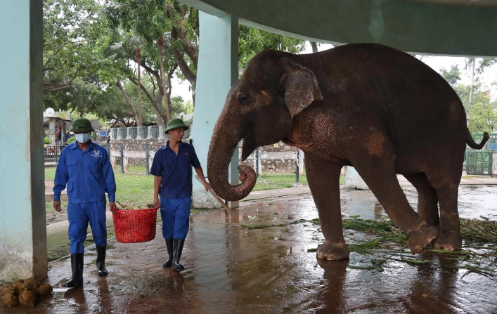 越南河內親子遊