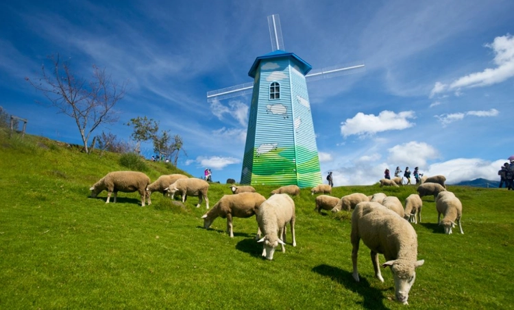 台灣中部休閒農場