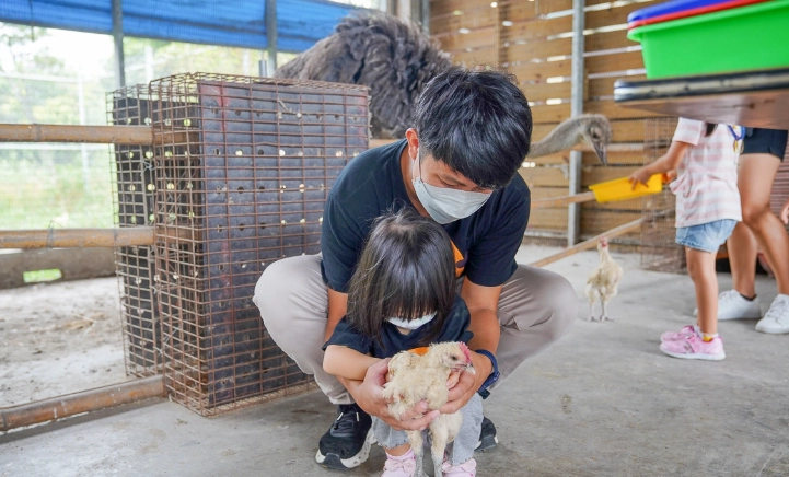 正實農場親子活動