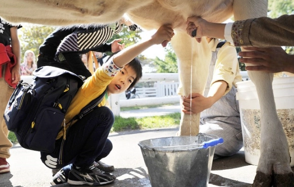 正實農場門票價格