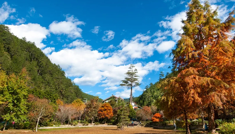 台灣中部休閒農場