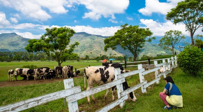 休閒農場推薦 休閒農場推薦