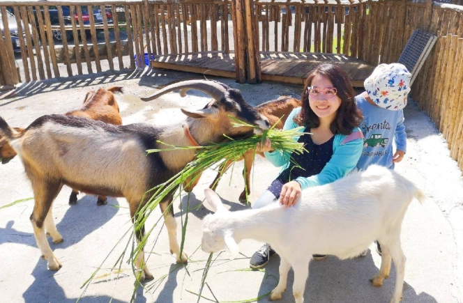 台北親子農場 台北親子農場
