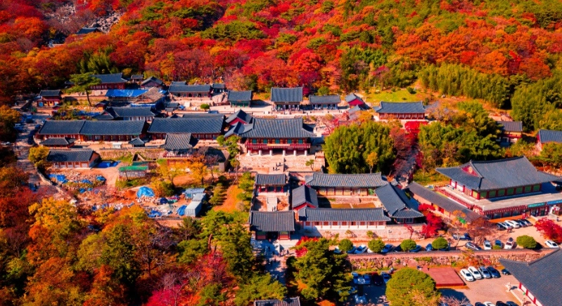 釜山旅遊攻略 釜山旅遊攻略