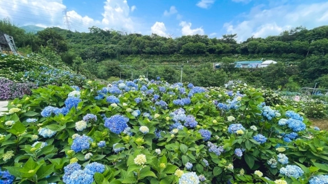 農場旅遊攻略 農場旅遊攻略