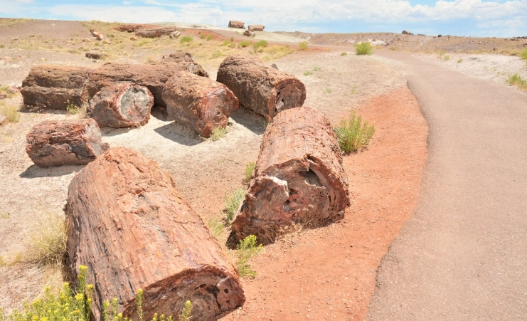 古生物奇幻樂園周邊旅遊