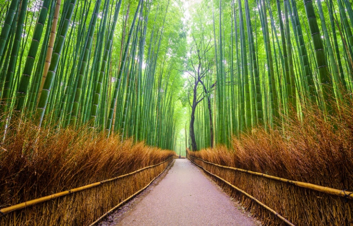 日本自由行攻略