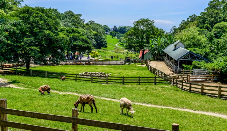 台灣農業旅遊 台灣農業旅遊