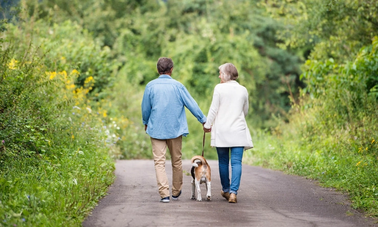 散散步迷迷路 體驗