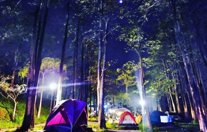 走馬瀨農場露營 走馬瀨農場露營