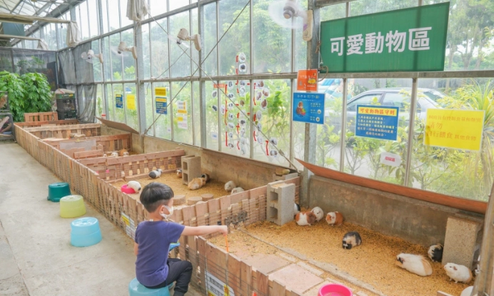 親子農場推薦 親子農場推薦