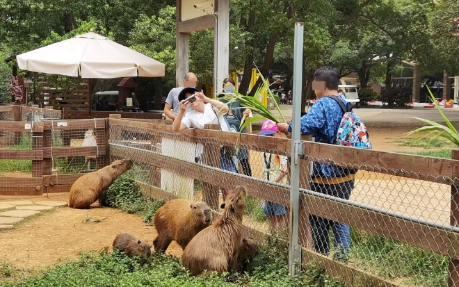 桃園一日遊行程 桃園一日遊行程