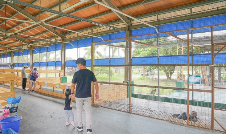 正實農場親子活動