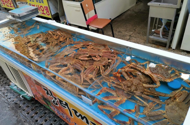 釜山旅遊攻略 釜山旅遊攻略