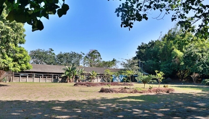 茶文創園區評價