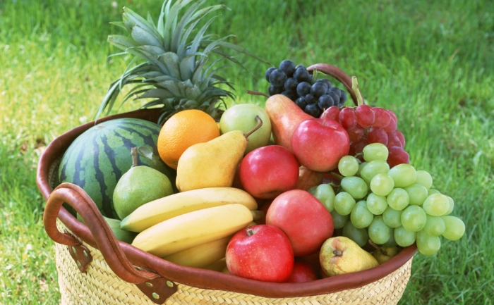 親子農場體驗 親子農場體驗