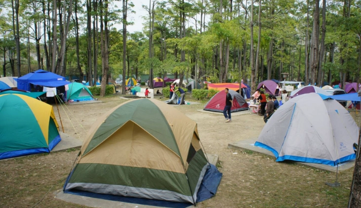 走馬瀨農場露營
