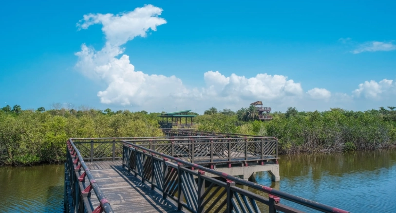 休閒農場親子活動