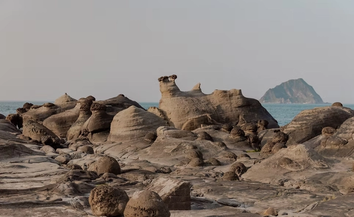 古生物樂園附近景點推薦
