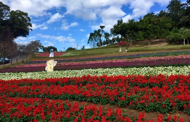 桃園農場推薦 桃園農場推薦