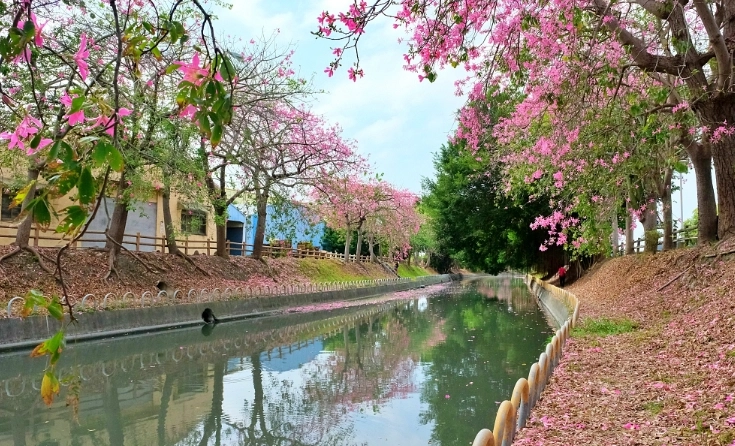 北斗旅遊景點 北斗旅遊景點