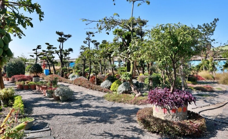 茶文創園區評價