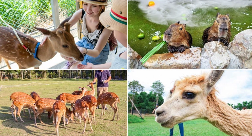 台北親子農場 台北親子農場