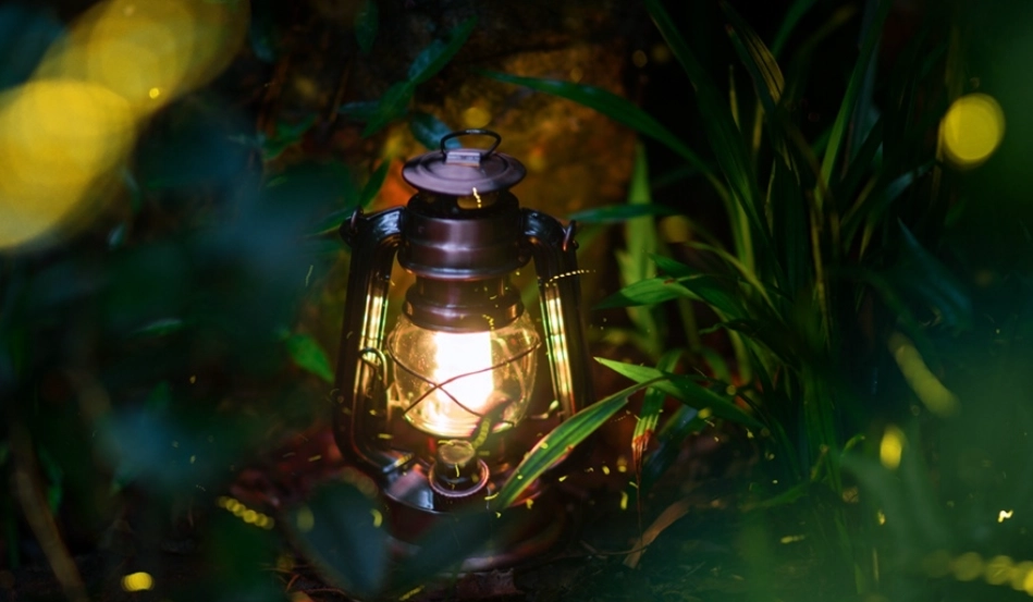 台灣古厝螢火蟲季節 台灣古厝螢火蟲季節