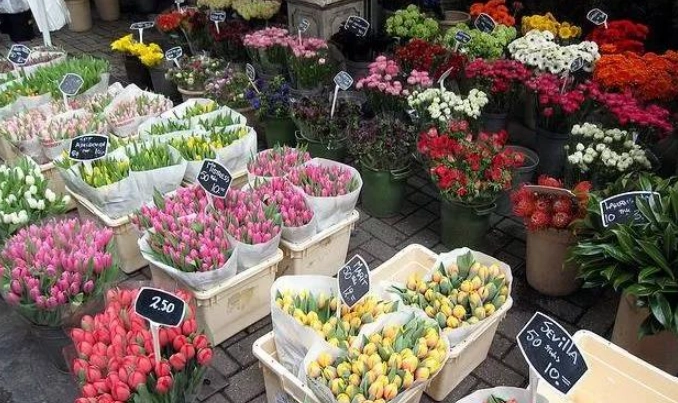 新竹假日花市評論