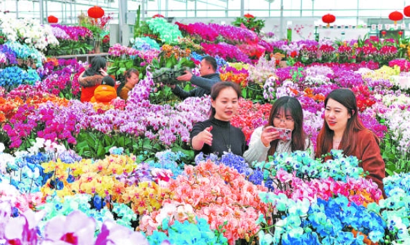 新竹假日花市交通