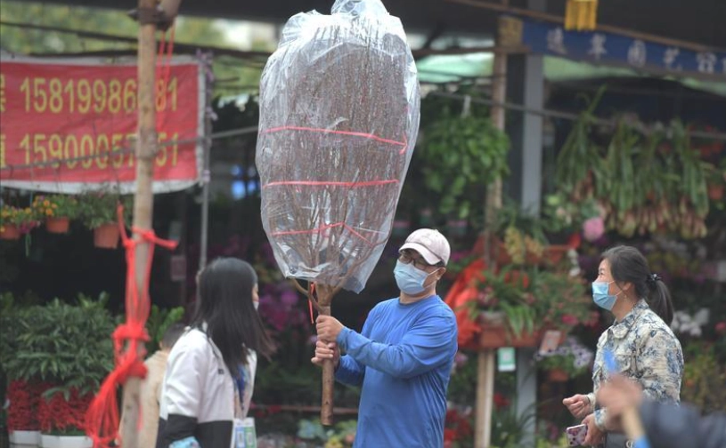 花卉批發市場 花卉批發市場