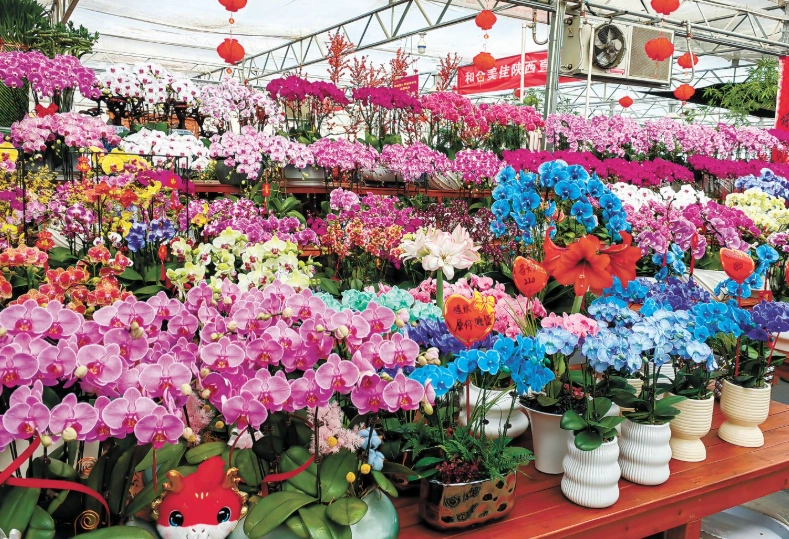 新竹花市開放時間