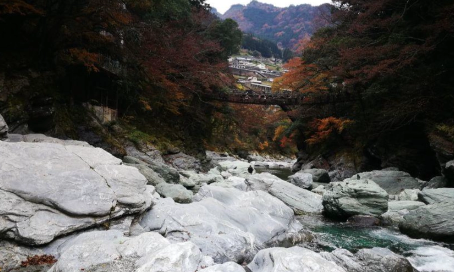 大步危觀光時長