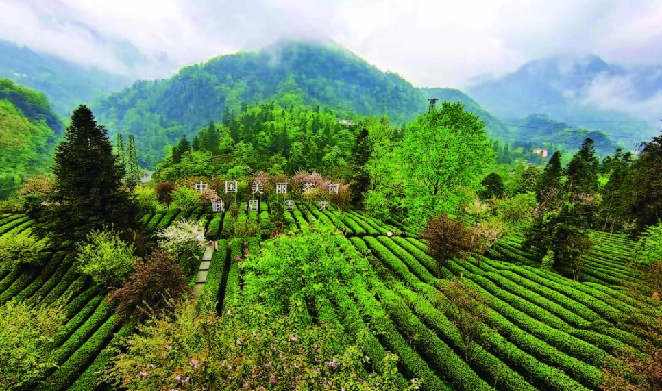 新竹峨眉景點 新竹峨眉景點