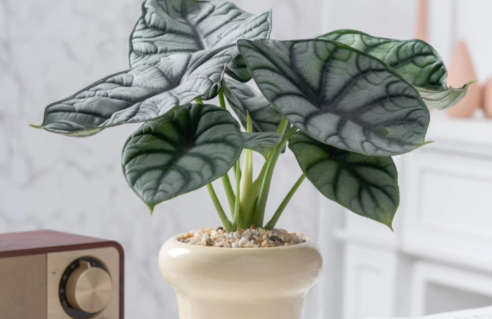 職場嗜睡 職場嗜睡