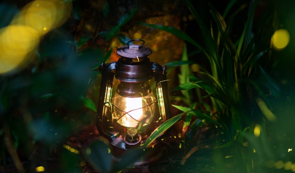 台灣螢火蟲秘境