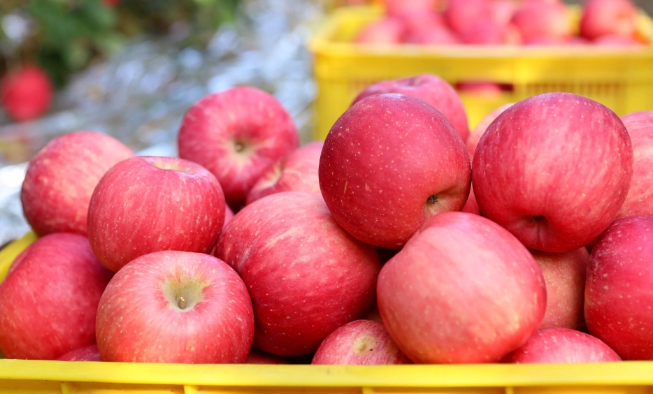 工作疲勞解決 工作疲勞解決