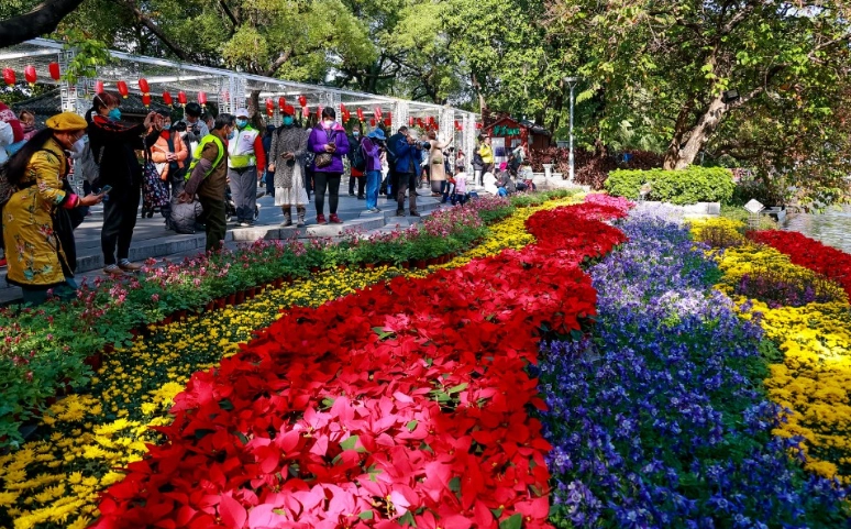 桃園買花攻略 桃園買花攻略