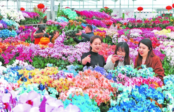 花卉批發市場 花卉批發市場