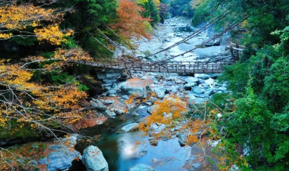 祖谷溪旅遊