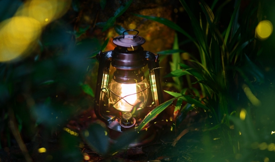 平溪螢火蟲季節