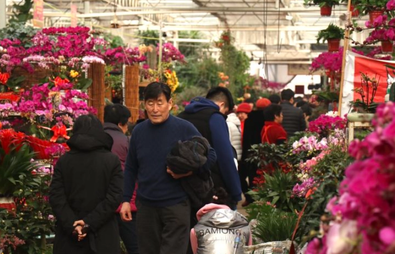 花卉批發市場 花卉批發市場