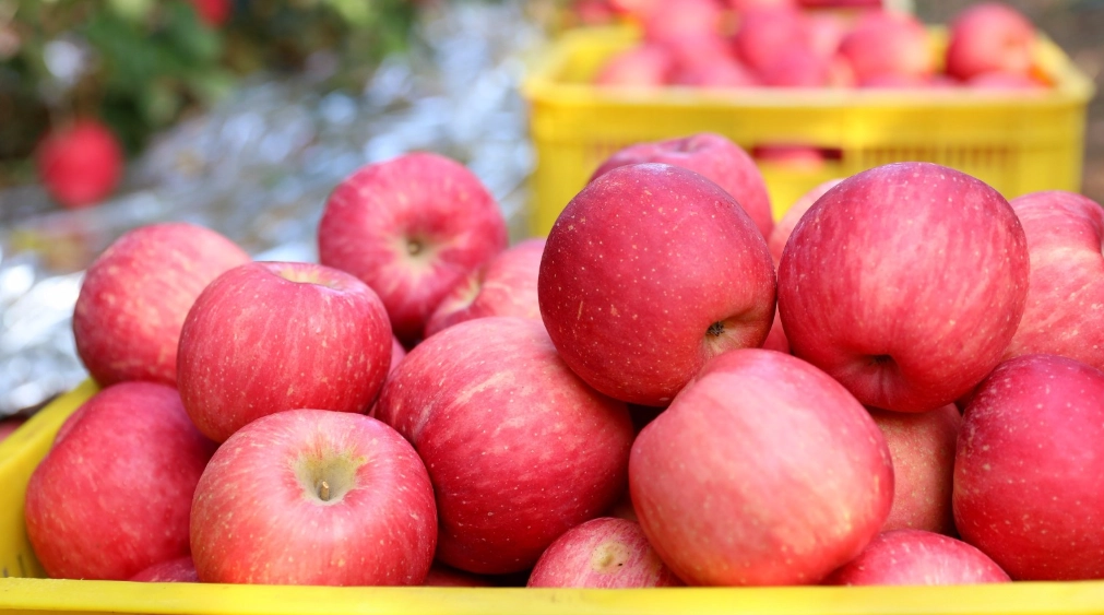 解決宿醉沒胃口