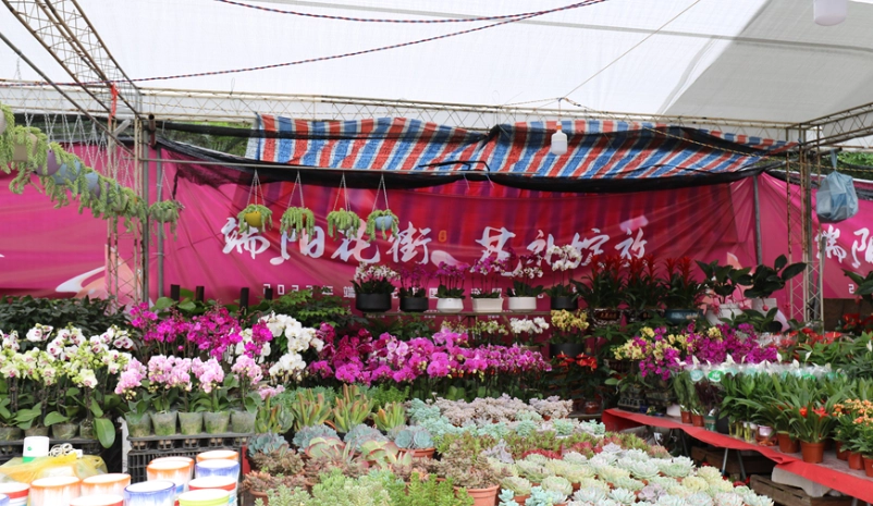 新竹花市開放時間