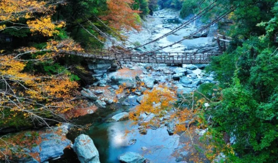 大步危旅遊時間