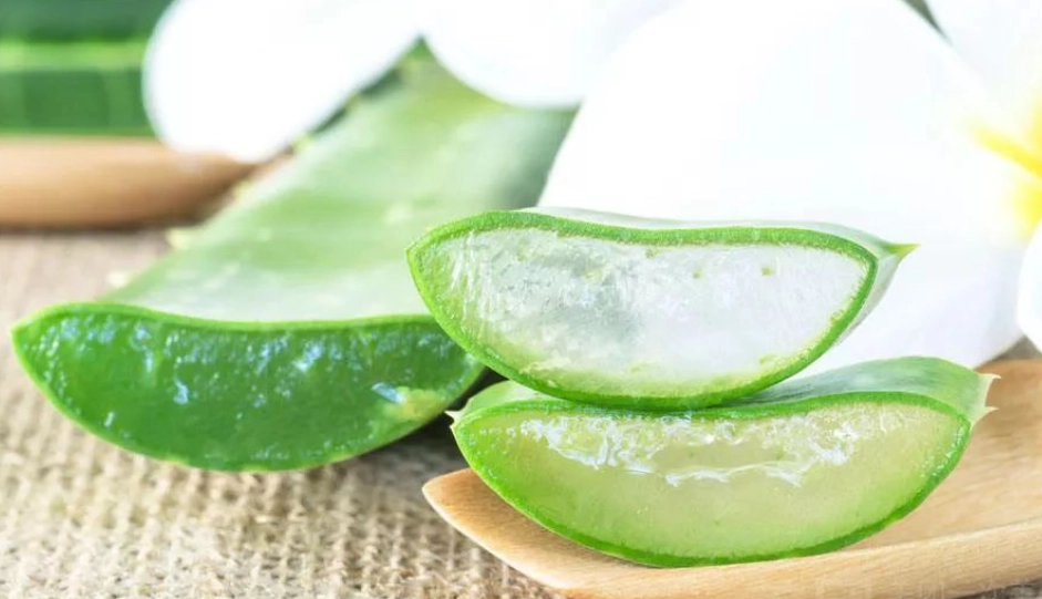 蚊子叮止癢偏方